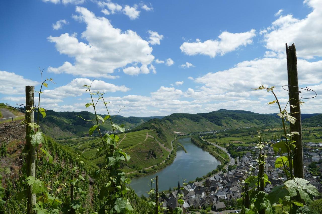 Ferienwohnung Haus Am Calmont 布雷姆 外观 照片