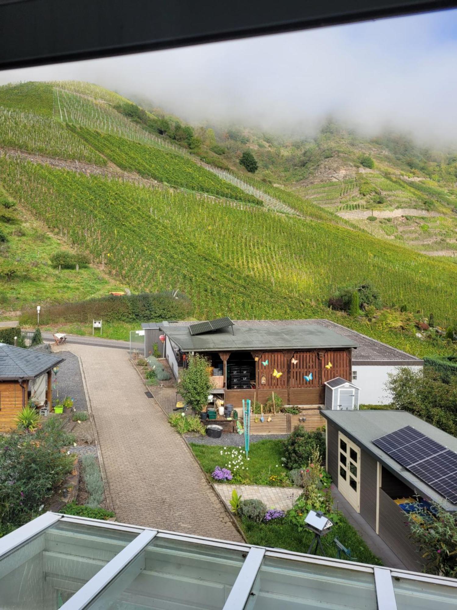 Ferienwohnung Haus Am Calmont 布雷姆 外观 照片