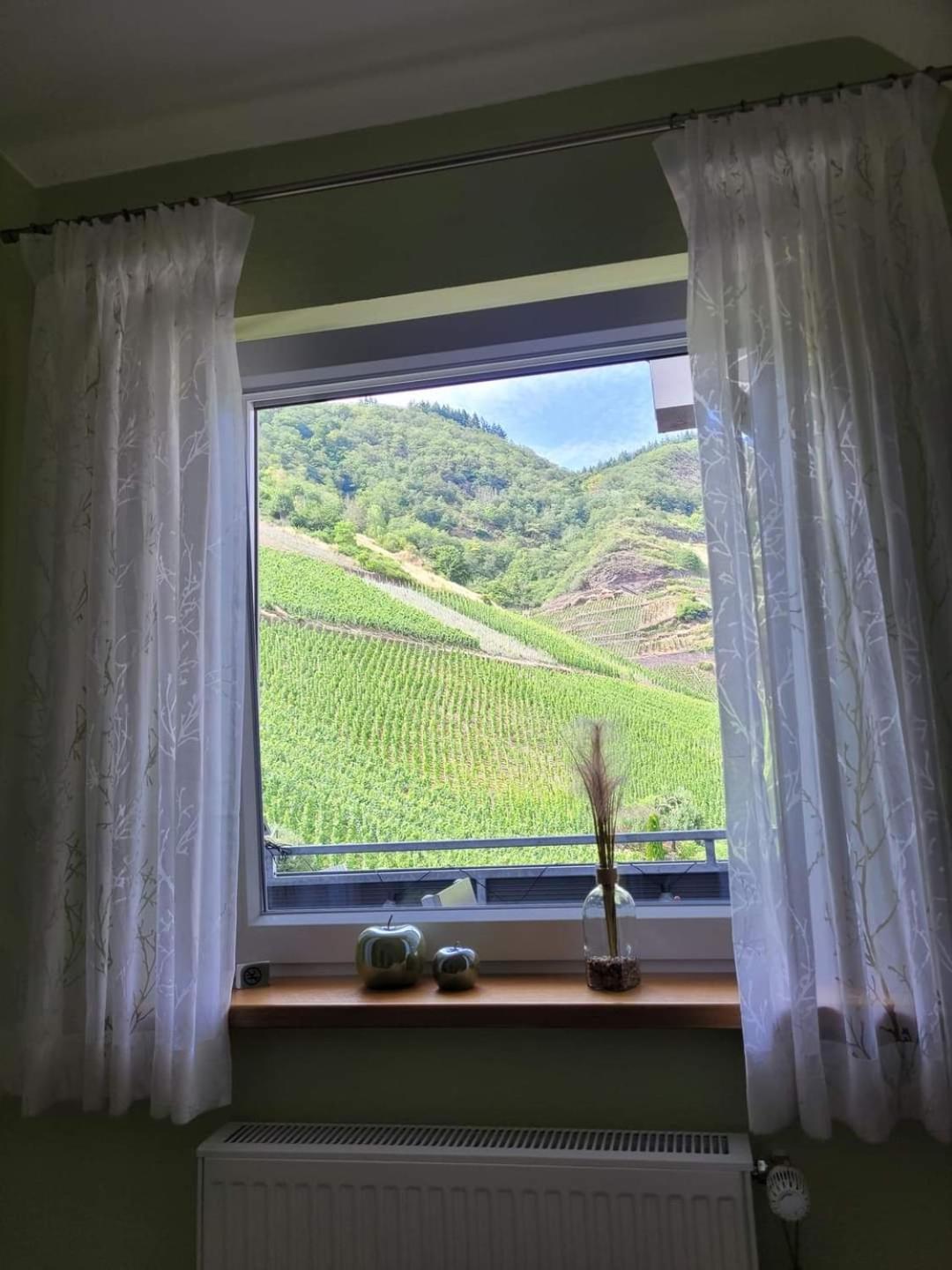 Ferienwohnung Haus Am Calmont 布雷姆 外观 照片